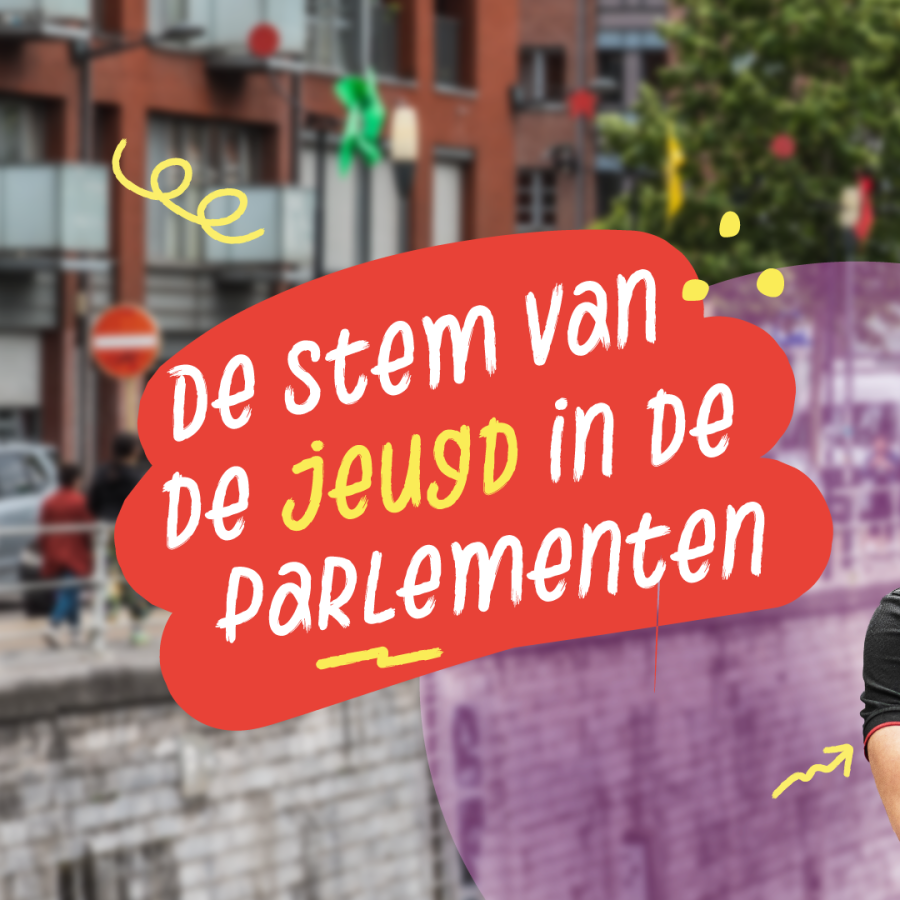 De stem van de jongeren in de parlementen - beeld 1