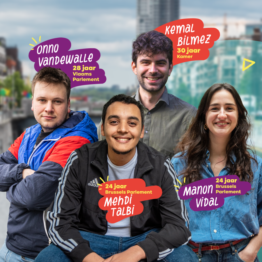 De stem van de jongeren in de parlementen - beeld 3