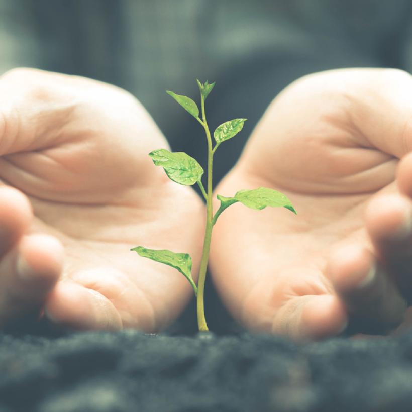 Het Toekomstplan van de PVDA: 10 miljard openbare investeringen voor sociaal en klimaatbeleid 