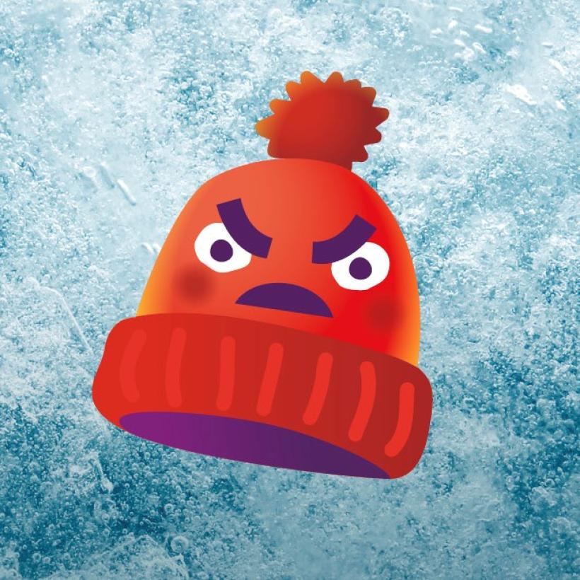 PVDA lanceert het verzet van de boze mutsen