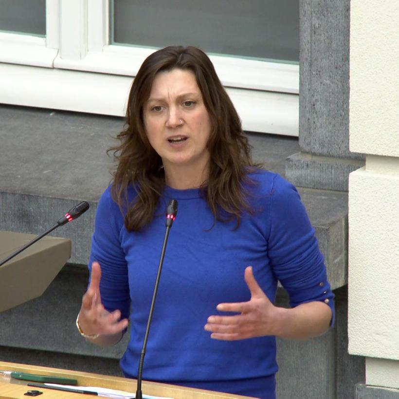 Line De Witte tijdens haar tussenkomst in het Vlaams parlement