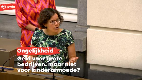 Lise Vandecasteele, Vlaams parlementslid PVDA