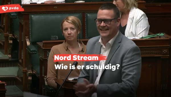 PVDA-voorzitter Raoul Hedebouw spreekt voor de Kamer.