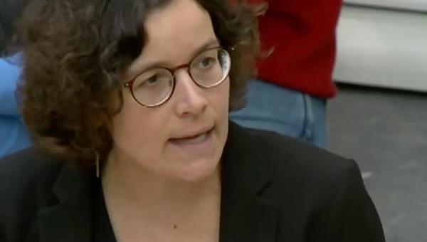 Lise Vandecasteele op het spraakgestoelte van het Vlaams parlement