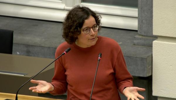 Lise Vandecasteele spreekt in het Vlaams parlement