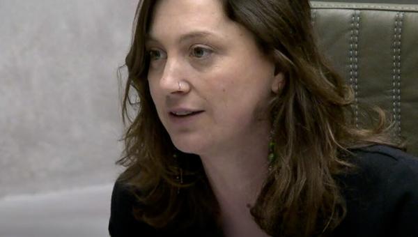 Line De Witte in het Vlaams parlement.