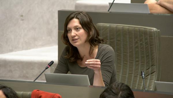 Line De Witte tijdens haar tussenkomst in het Vlaams parlement