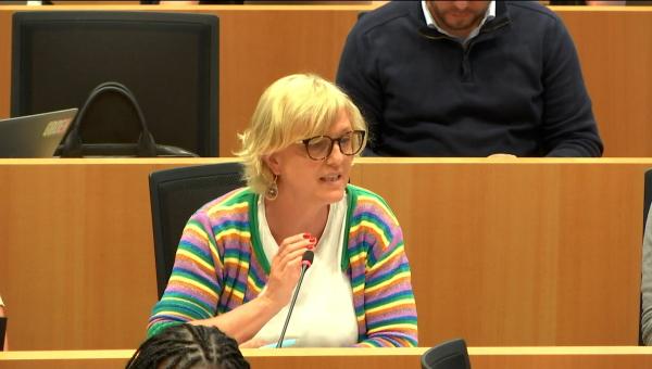 Sofie Merckx tijdens haar tussenkomst in de commissie in het parlement