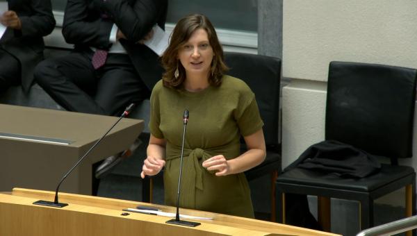 Line De Witte tijdens haar tussenkomst in het Vlaams parlement