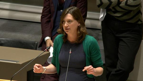 Line De Witte tijdens haar tussenkomst in het Vlaams parlement