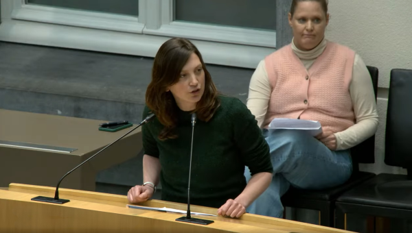 Line De Witte tijdens haar tussenkomst in het Vlaams parlement