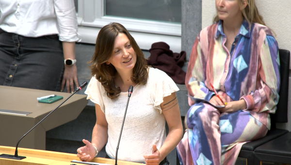 Line De Witte tijdens haar tussenkomst in het Vlaams parlement