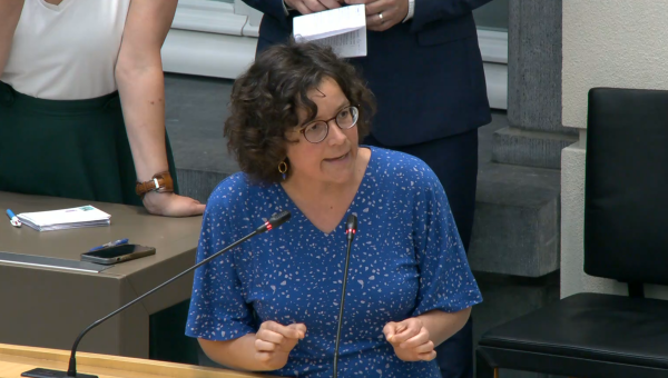 Lise Vandecasteele tijdens haar tussenkomst in het Vlaams parlement