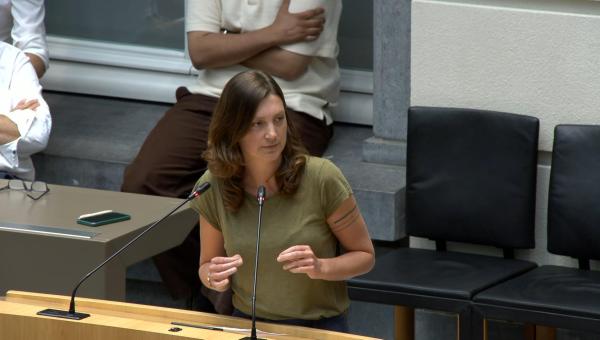 Line De Witte tijdens haar tussenkomst in het Vlaams parlement.