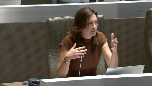 Line De Witte tijdens haar tussenkomst in het Vlaams parlement